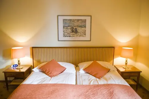 Hotel Silberhorn - Residences & Spa Wengen, Room