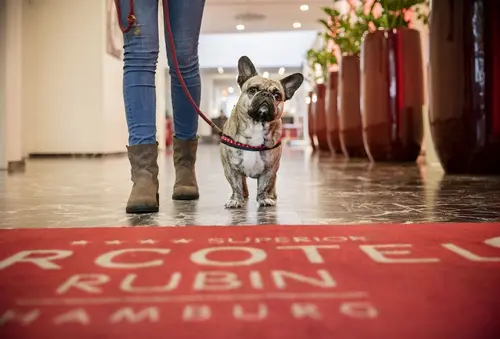 ARCOTEL Rubin Hamburg