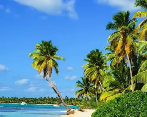 paquetes turisticos a Montego Bay a tu medida + Carry on con Latam 