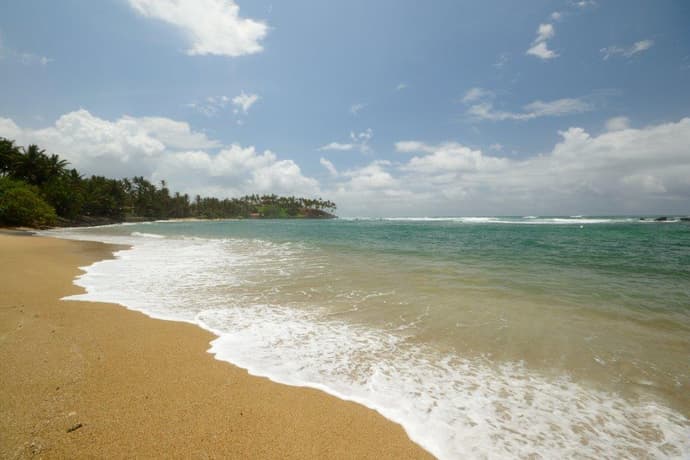 Southern Coast Beach Tour