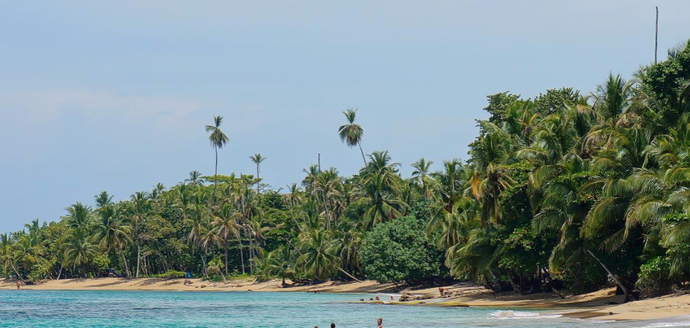 Volcanes, Naturaleza y Caribe