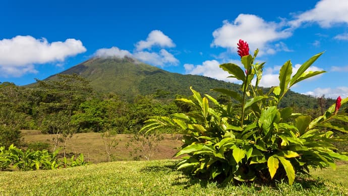 Costa Rica: Adventure & Relax