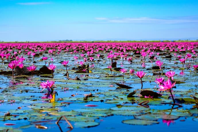 El norte de Isaan y el Mekong, Tour en Grupo Pequeño