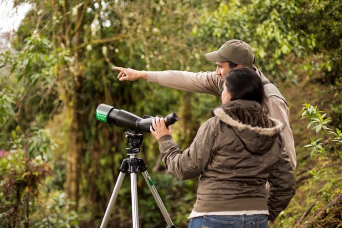 Costa Rica Birdwatching (On Request)