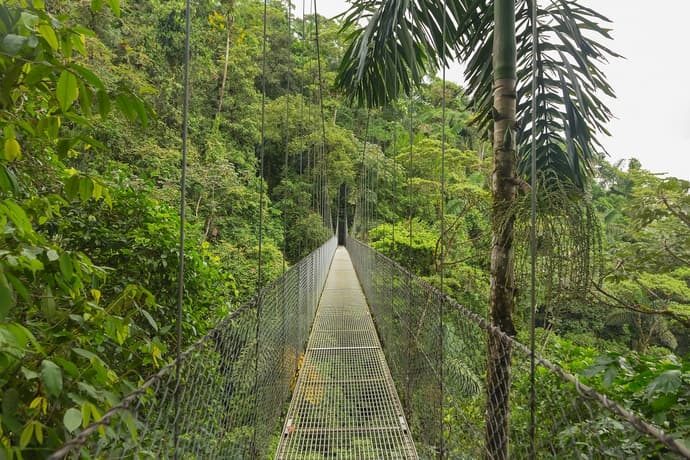 Super ahorro | Costa Rica Esencial Plus con extensión a Manuel Antonio, 10 días 