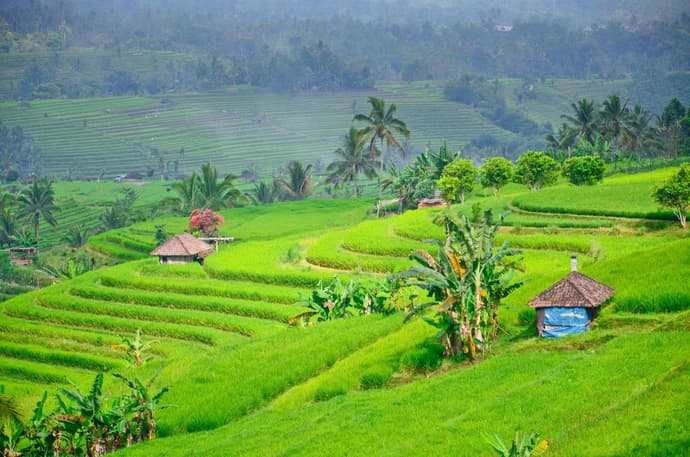 Lo más destacado de Bali y Gili, tour privado