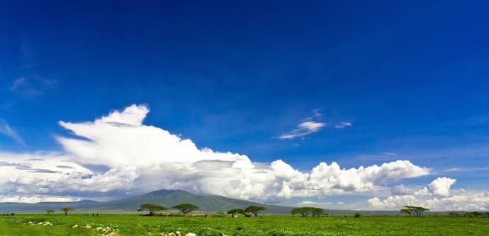 Kifaru Safari, Serena Lodges 