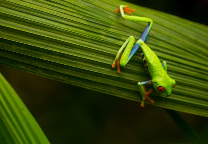Costa Rica Increíble