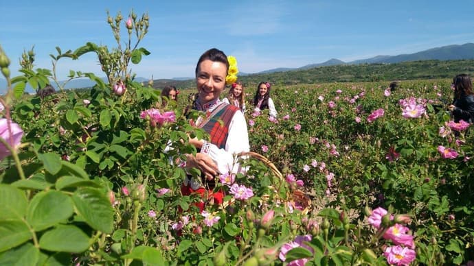 Exclusive group (min 10 pax): Bulgarian Culinary Wine Tour