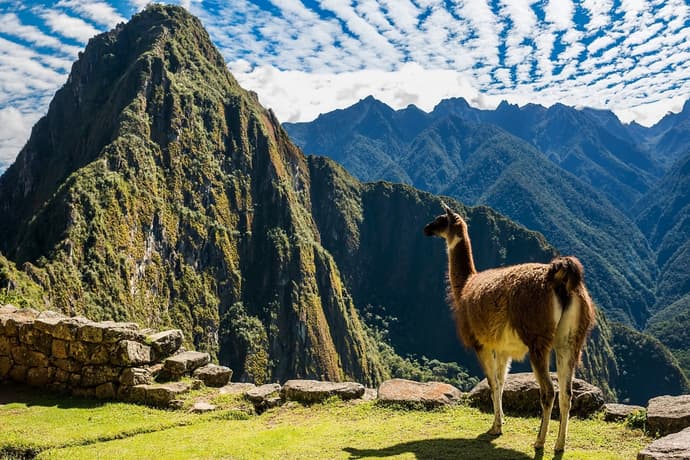 Luna de miel en Perú, Tour Privado