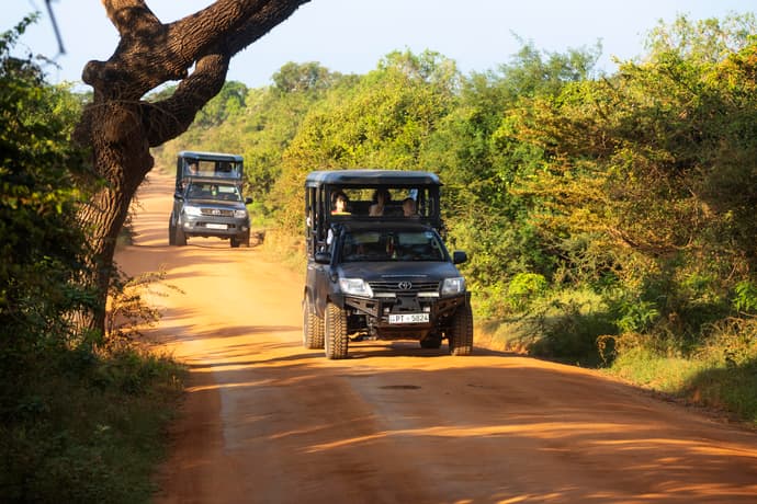 2-Day Galle to Yala Safari Adventure