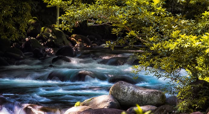 Cascadas Místicas Y Bosque De Costa Rica