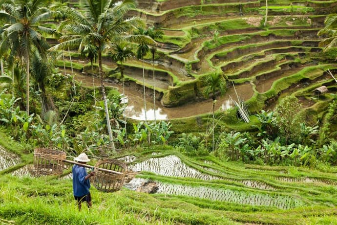 Simply Bali, Private Tour