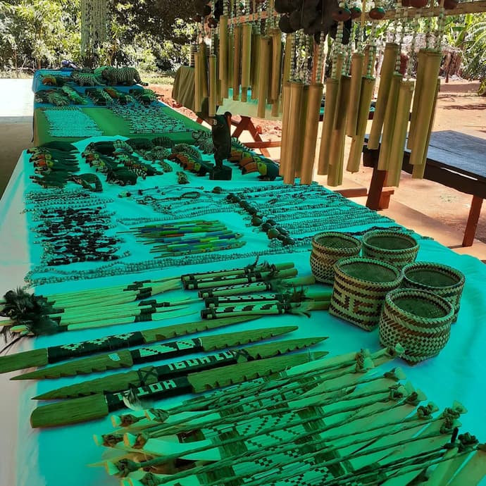 2-Day Private Roots of the Rainforest: Guaraní Heritage, Mate & Wildlife Rescue
