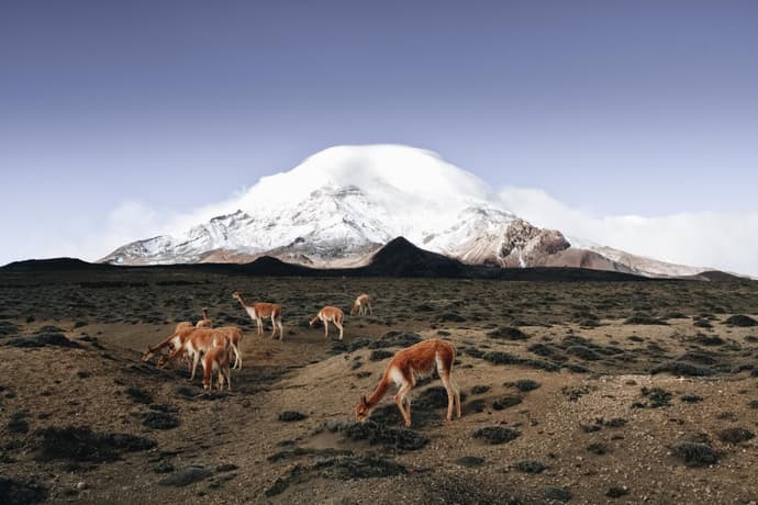 8 Días de escapada a los Andes ecuatorianos y la costa: Cotopaxi, Quilotoa, Baños, Chimborazo, Ingapirca, Cajas y Guayaquil, tour privado