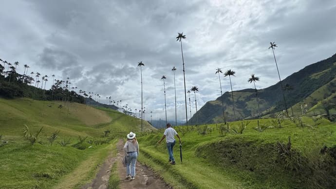 4-Day Pereira Coffee Region Experience, Private Tour, French-speaking guide