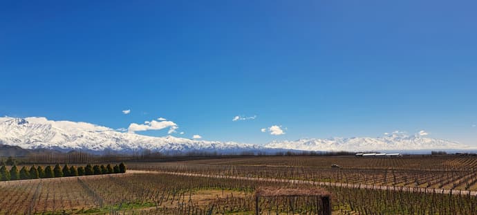 4-Day Mendoza Wine Region Experience, French-speaking guide