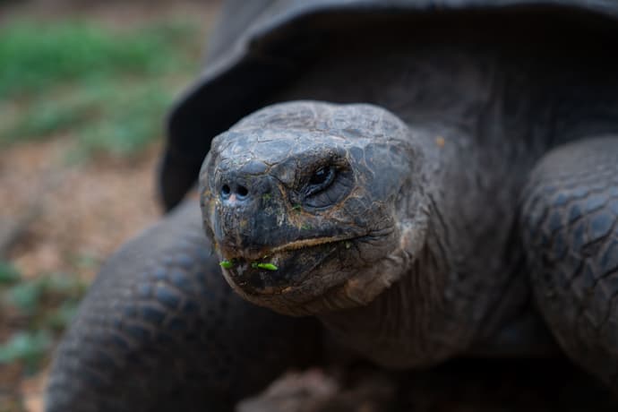4-Day Wildlife & Wonders of Galapagos