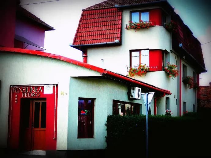 Pensiunea Pedro