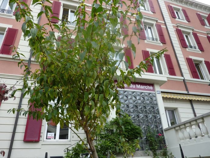 Hotel du Marche