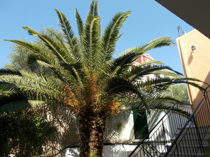 Kavos Fantasia Complex