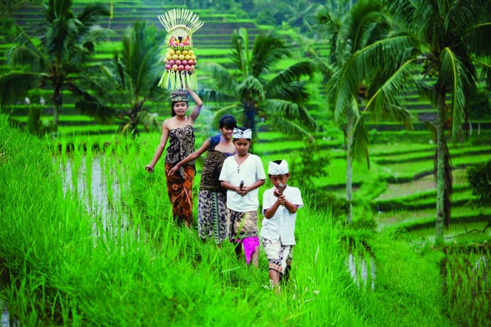 Bali Discovery