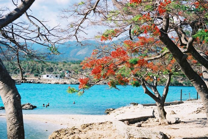 Cuba Linda with Casa Particulares