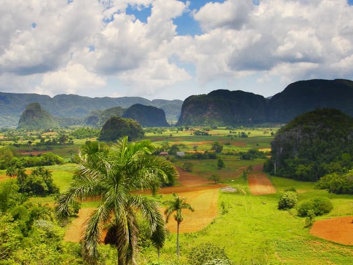 Cuba Linda with Boutique