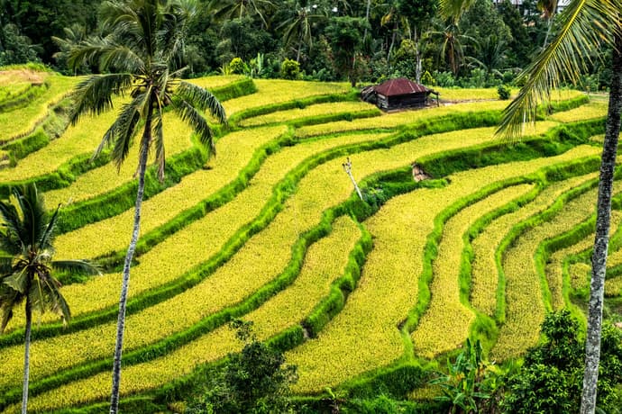 Bali Roundtrip 6 Days