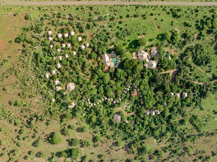 Safari Bora