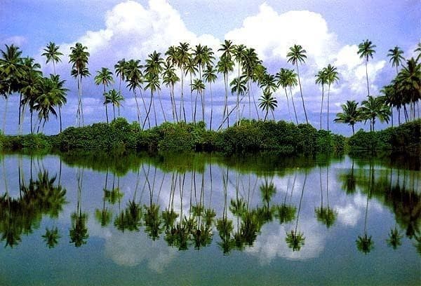 Ceylon Splendors Trail - Italian