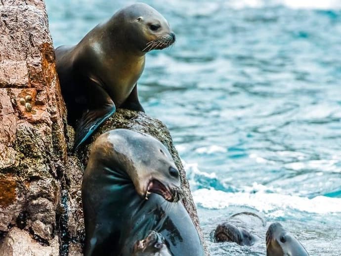 Perú Esencial Místico (Pre Nazca + Perú Esencial)