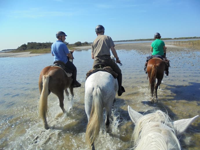 Francia: Provenza/Camargue - La cavalcata del mediterraneo
