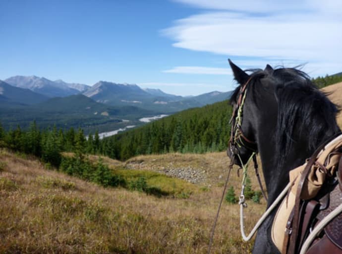 Canada: Alberta - le montagne di kananaskis