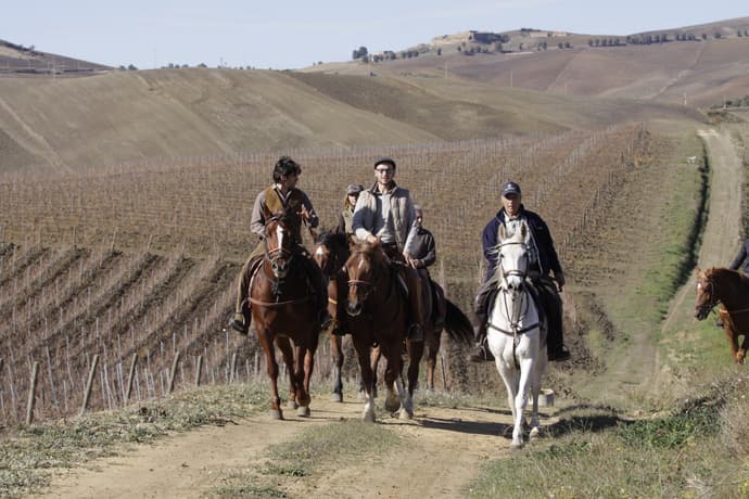 Italy: Sicily - the wine route