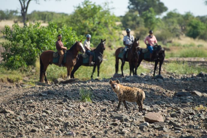 Botswana: Horseback safari in the tuli reserve, limpopo valley