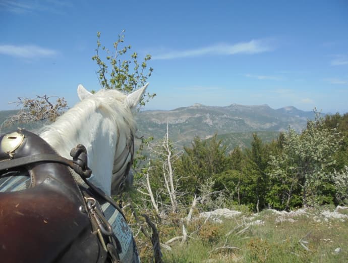 Francia: Provenza - profumi estivi di provenza