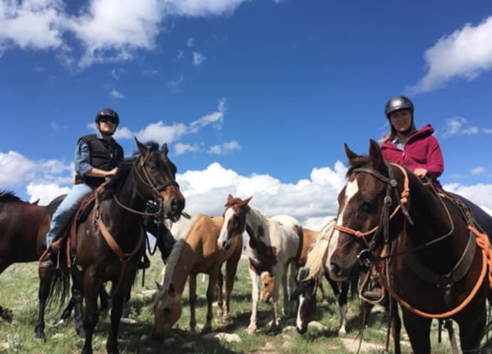United States - Idaho: leading a herd in idaho