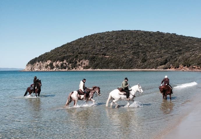 Italia - Toscana: assaggio di maremma