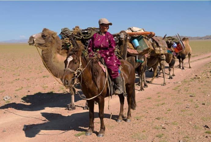 La steppa del deserto del Gobi