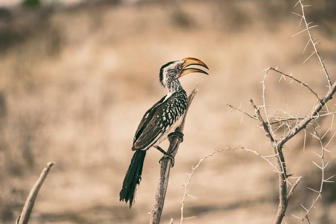 Scenic Namibia