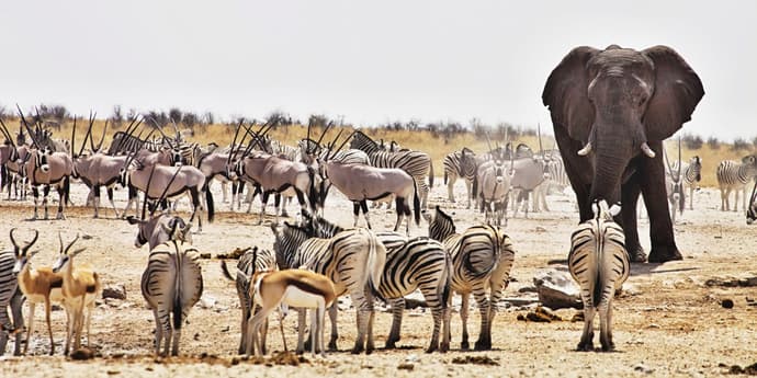 Bellezas de Namibia