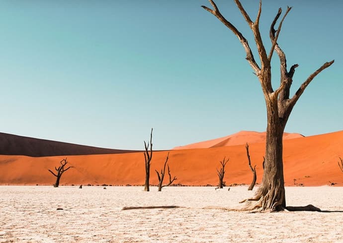 Desiertos de Namibia