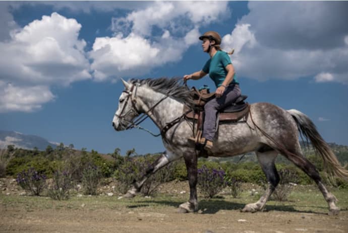Rhodes, the Island of the Sun