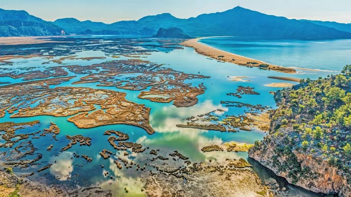 Sabores del Mediterraneo