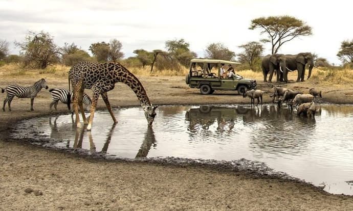 Safari KST 514 – Tanganyika Wilderness Camps