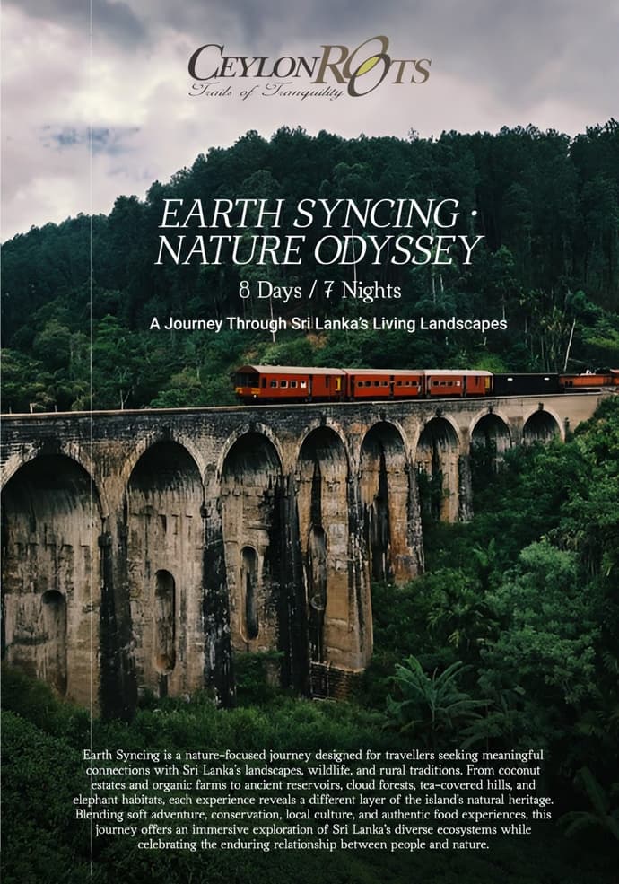 Earth Syncing · Nature Odyssey