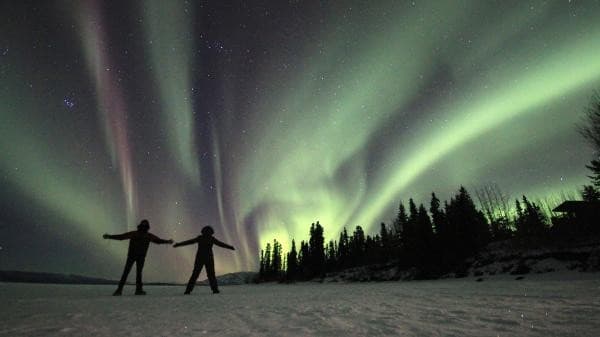 Yukon Aurora Viewing with Arctic Range Adventure - 5 Días