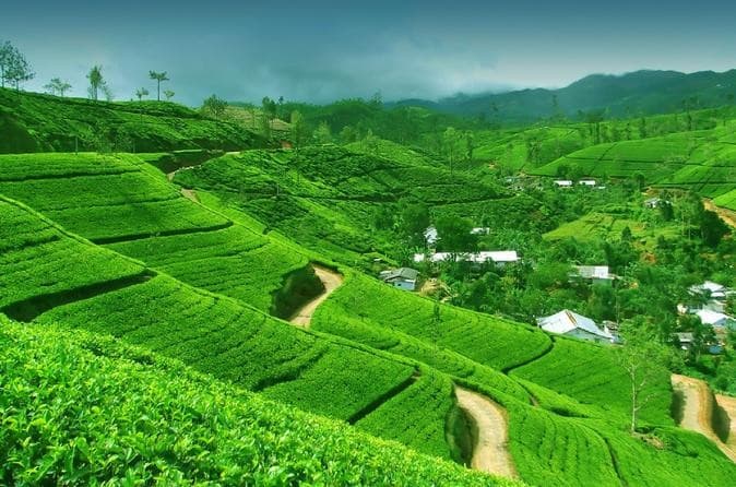 Tour privato Srilanka 7 notti