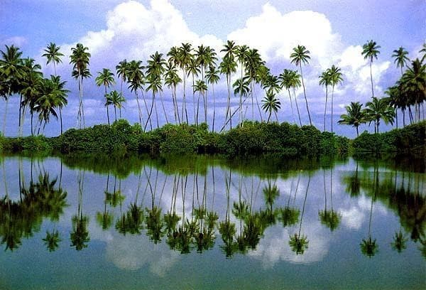 Ceylon Splendors Trail - Italian